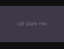 【初音ミク】cat stare me【オリジナル曲】