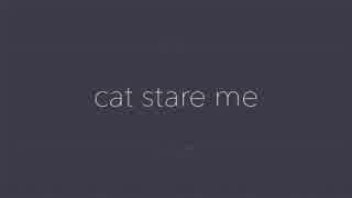 【初音ミク】cat stare me【オリジナル曲】