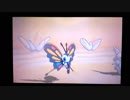 【ポケモンUSUM】フルパワーのアゲハントで伝説ポケモンをやっつける