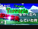 【実況】4年ぶりにテラリアをやったら記憶喪失していた #１【Terraria】