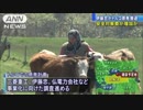 伊藤忠がトルコの原発計画撤退へ　原発事故や安全対策費などのリスク要因は否定