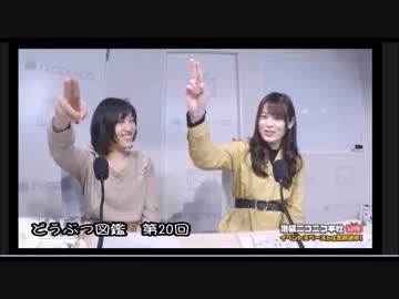 【きょんかわ】たまにドSな田村響華さんまとめ8