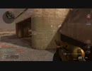 【実況】諸事情によりCall of Duty WWⅡをやる -114