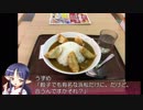 ぷらっとパーク巡り 東名・浜名湖SA・2018後編【そくドラ!外縁隊】