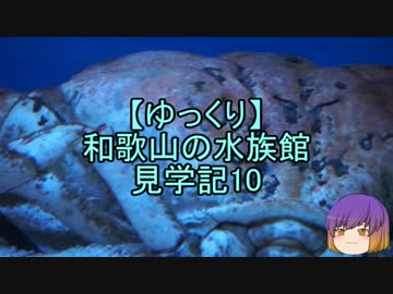 【ゆっくり】和歌山の水族館見学記10