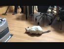 掃除中の一幕