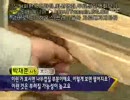 韓国発「激安ソファーの実態」