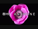 春MR（ANEMONE）