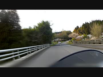 ひとりでとことこツーリング 番外編16～鹿児島県内 色々な道沿い桜～