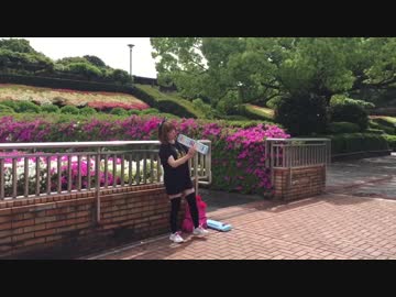 【鍵盤ハーモニカ4重奏】ねこバスを演奏してみたよ【となりのトトロ】