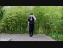 【こめこ】ルカルカ★ナイトフィーバーを踊ってみた