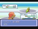 【改ポケ実況】新・ポケモン全部ゲットするまで進めないプロキオンpart2