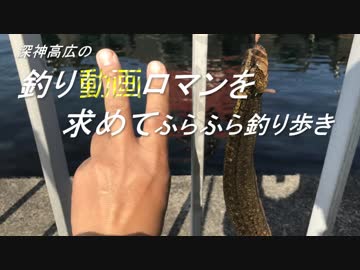 釣り動画ロマンを求めて 150釣目（深浦湾）