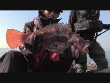 【魚釣り】 俺の刺し餌グレに届け！！part20