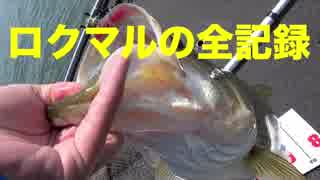 人気の ろくまる 動画 37本 ニコニコ動画