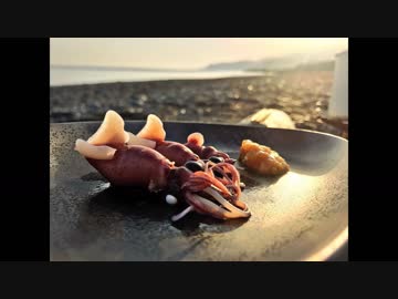 ホタルイカ掬って現地食いしようＺＥ！