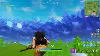 【あらげのFortnite】12killと思わせて11kill win