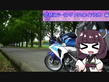 まったりキャンプツーリング メタセコイア並木　編