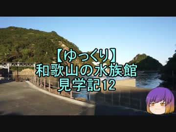 【ゆっくり】和歌山の水族館見学記12