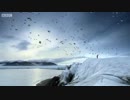 空翔ぶPPP