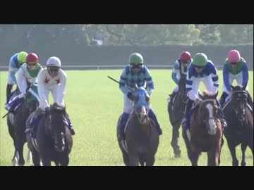 2018年　第157回 天皇賞（春）（GⅠ）【レインボーライン】