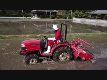 赤い水田のシャア