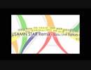 USAMIN STAR Remix - Sobu Line Edition -