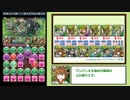花嫁カノパ ガイアドラゴン降臨 ソロノーコン 【パズドラ】