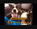ボギー大佐の言いたい放題　2018年04月29日　21時頃　放送分