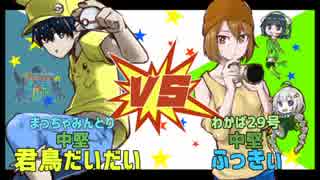 【ポケモンUSM】絵描きが描くは『Photon Delta Cup優勝絵巻』【vsふっきぃ】