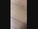 ドラコンのためのドライバー　　坂本まりの日記