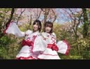 【ちゃんゆい】神のまにまに 踊ってみた【うさぴぴ】