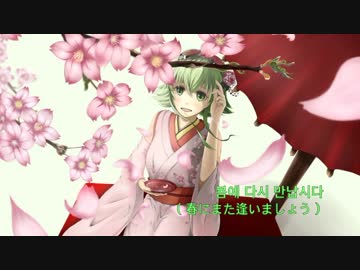 사쿠라가 사랑해요(SAKURAGA SARANHEYO)/Jille.Starz☆ Feat. 구미