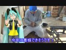 【素人養蜂　Part26】養蜂前の途中経過です