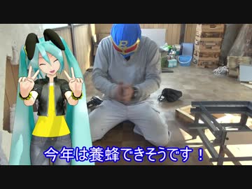 【素人養蜂　Part26】養蜂前の途中経過です