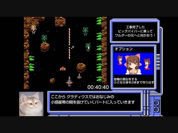 コナミワイワイワールドRTA_48分28秒_Part3/3