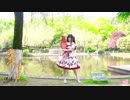 【伊伊】❀寄明月❀