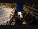 愛犬のブーマーがお亡くなりになられました　FARCRY5実況３