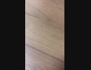 出会えてよかったと思う人の条件　　照井浩也の日記