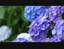 July / 掛川