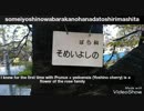 山崎川 ／ 宮地佑紀生 : Yamazakigawa – Mountain point river - Artist / Yukio･Miyachi