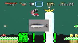 【ボカロ実況】ヒゲニヒメヲスクワセル作戦コース19【マリオワールド】