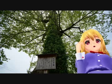 秘封倶楽部が行く日本全国神社の旅　第４６回