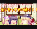 【ゆっくりホラー実況】もんのすごくカオスな精神病院にゆっくり達が出向くらしいPart9