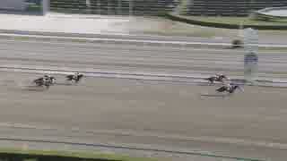 2018年5月1日船橋競馬1R スズランデビュー(2歳新馬) トーセンターコイズ