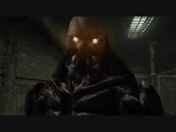 テスト動画