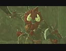 【気ままに初見】ゼルダの伝説 Breath of the Wild【実況】Part28