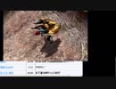 【MH4G】裸縛りでラスボスまで花京院（ユリア48手式）#237《混沌ゴア》