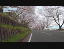 【うどんR】お花見サイクリング2018＠琵琶湖【ロードバイク】