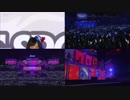 「Day dream Warrior」4種比較